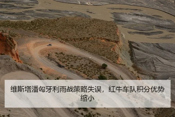 维斯塔潘匈牙利雨战策略失误，红牛车队积分优势缩小