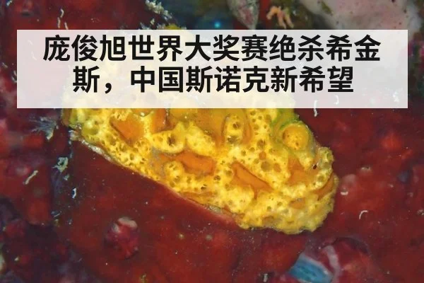庞俊旭世界大奖赛绝杀希金斯,中国斯诺克新希望